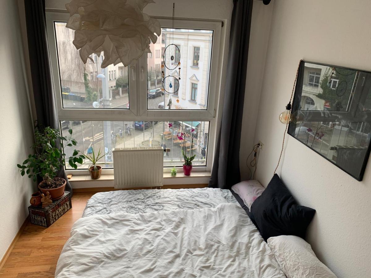 Am Clara-Zetkin-Park, Netflix, Lichtdurchflutet Apartment Leipzig Exterior foto